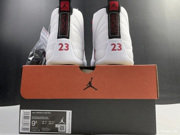 Twist Air Jordan 12 CT8013-106 0522